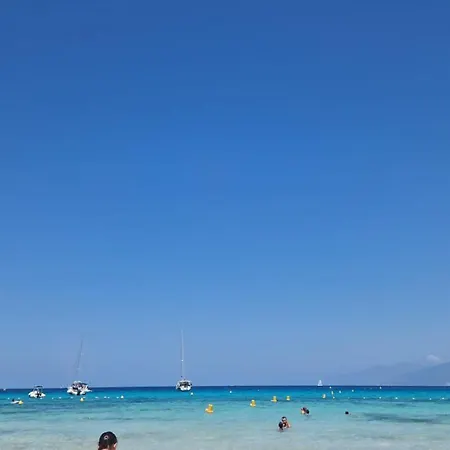 Dans * Linguizzetta
