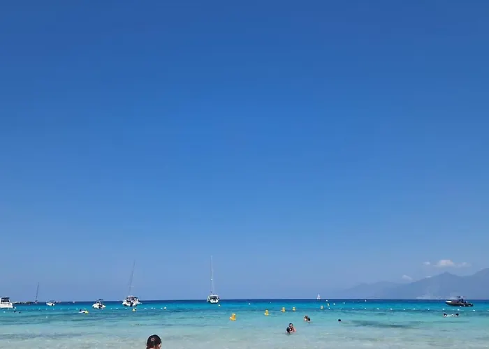 Dans Résidence * Linguizzetta